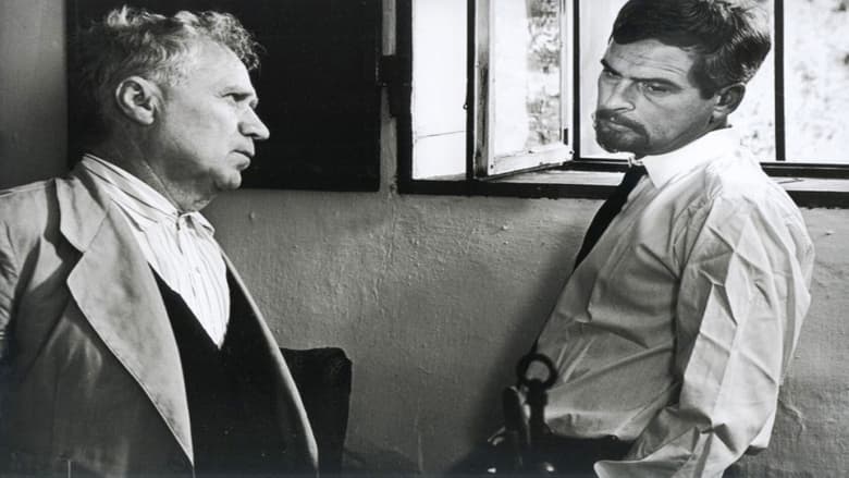 кадр из фильма Keresztelő