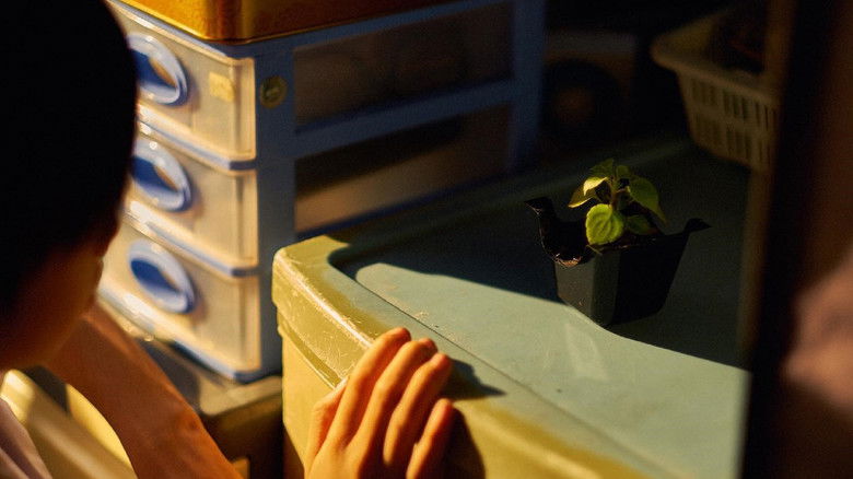 кадр из фильма 日照太短