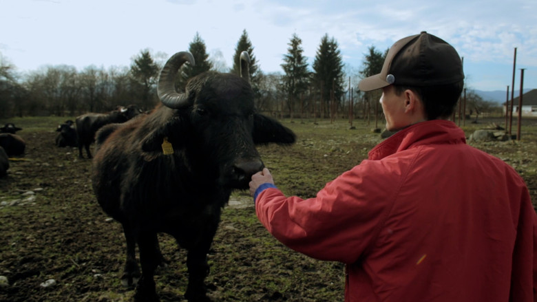 Май далеко – май добре