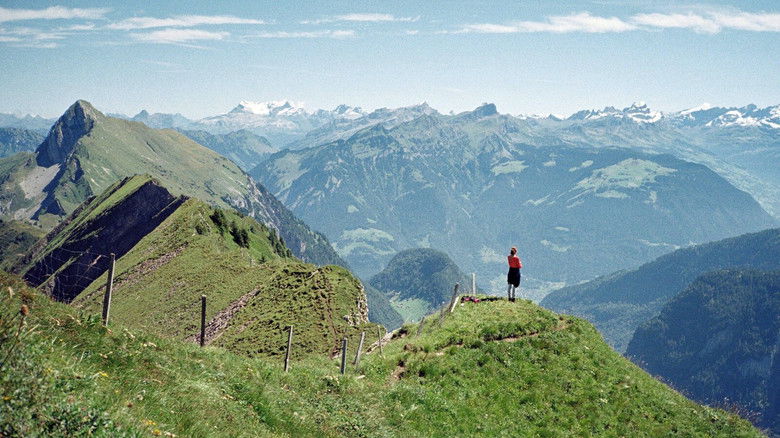 кадр из фильма Drii Winter