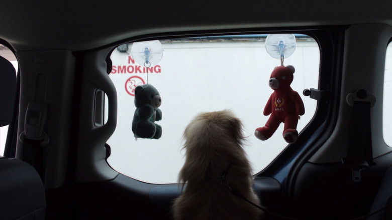 кадр из фильма Four Seasons in a Day