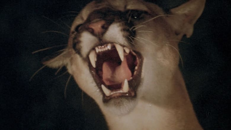 День животных