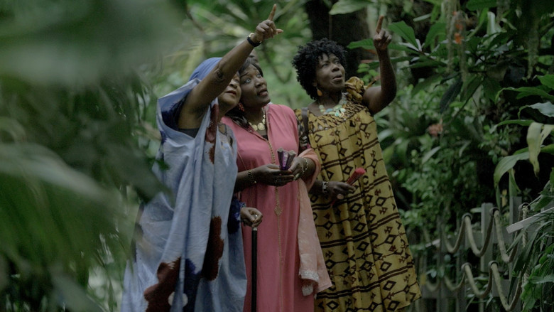 кадр из фильма L'INDIGOTIER ou la descente des jumelles