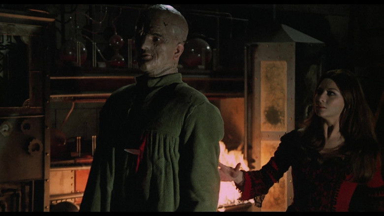 кадр из фильма Die Wahrheit über Lady Frankenstein