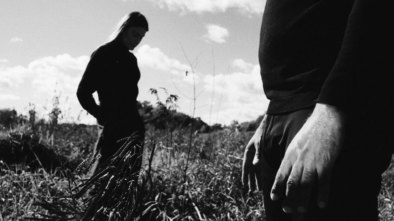 кадр из фильма The Meadow