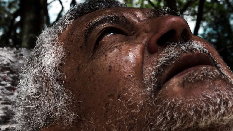 кадр из фильма Zé Tonho