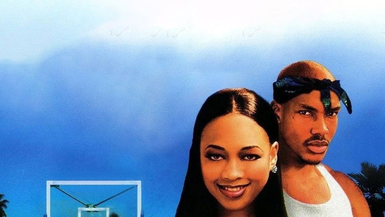 кадр из фильма A Miami Tail