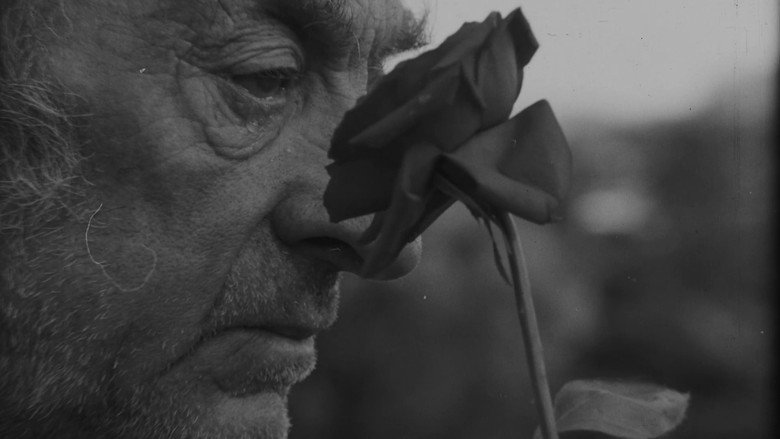 кадр из фильма An Old Man's Tear