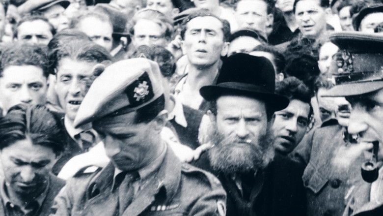 кадр из фильма Les survivants, l'impossible départ après la Shoah