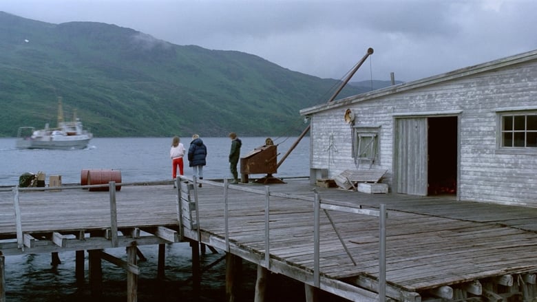 Året gjennom Børfjord