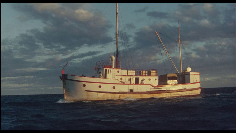 кадр из фильма 天国にいちばん近い島