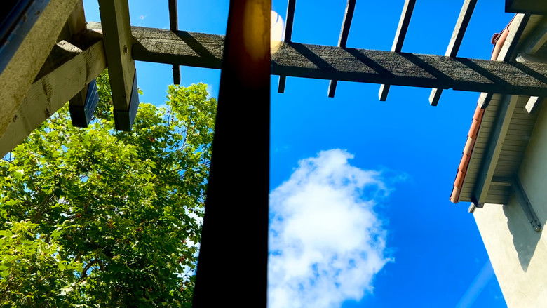 кадр из фильма When Butterflies Scream