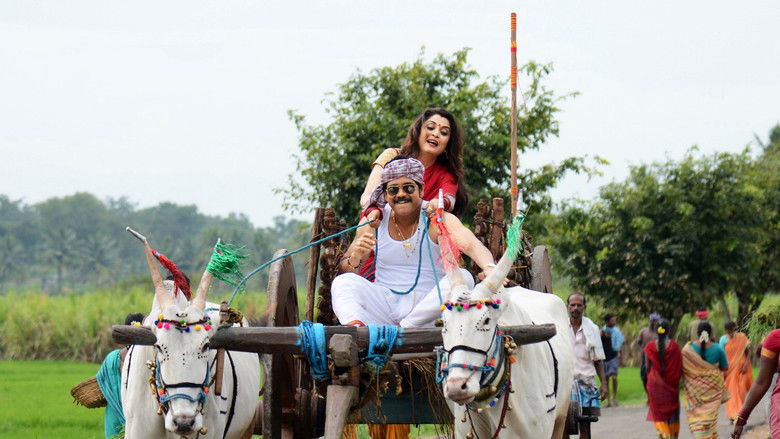 кадр из фильма సోగ్గాడే చిన్నినాయనా