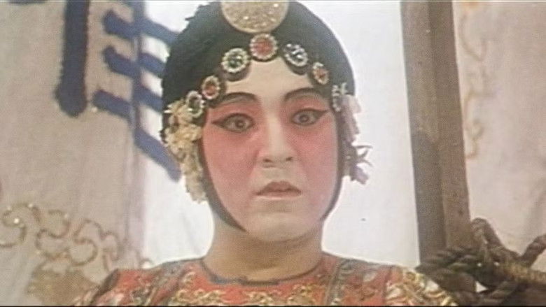 кадр из фильма 男生女相：華語電影之性別