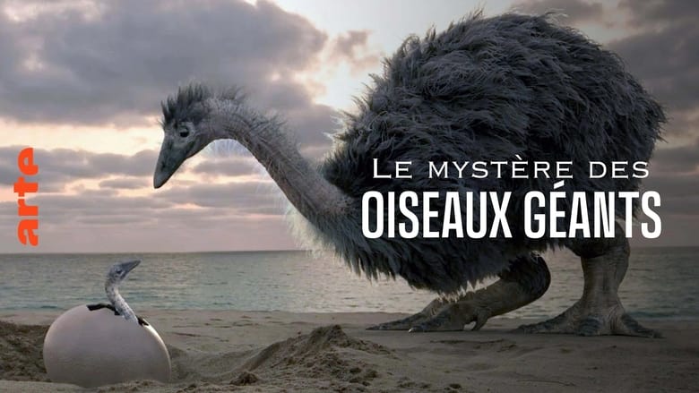 кадр из фильма Le mystère des oiseaux géants