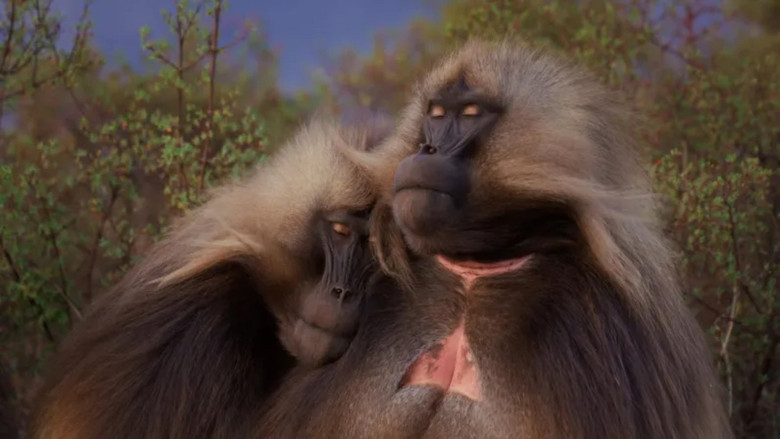 кадр из фильма Le royaume des nuages