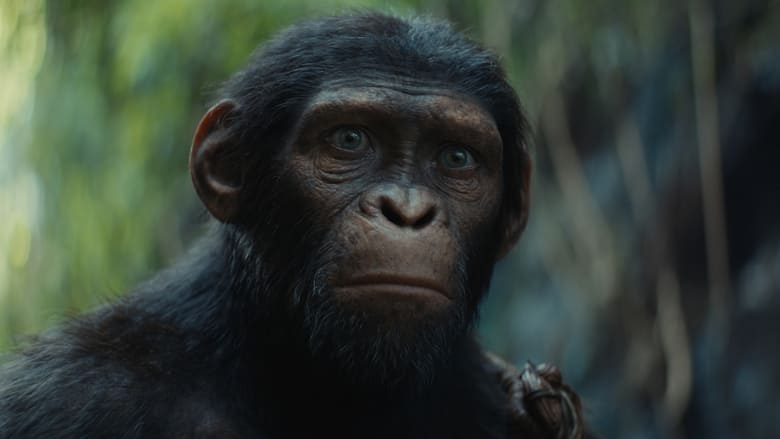 кадр из фильма Планета обезьян: Новое царство