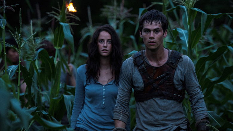 кадр из фильма Бегущий в лабиринте