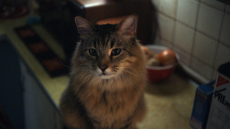 кадр из фильма Пойман с поличным