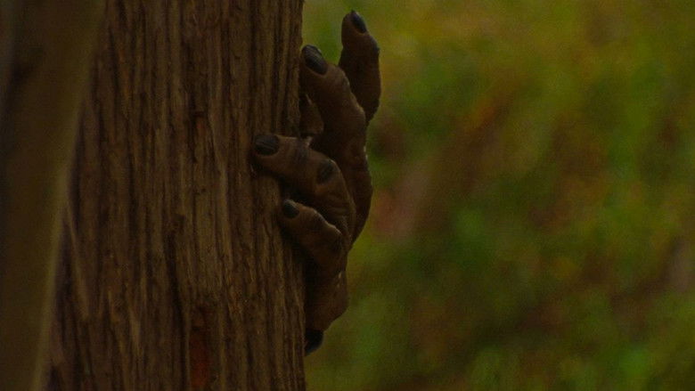 кадр из фильма Ride Like Lightning, Crash Like Thunder