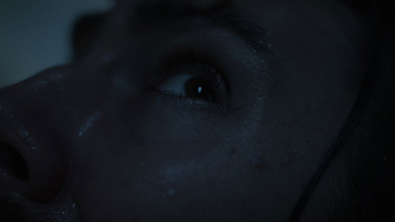 кадр из фильма The Dysphoria