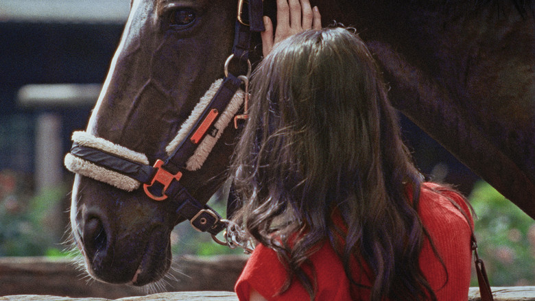 кадр из фильма Piaffe