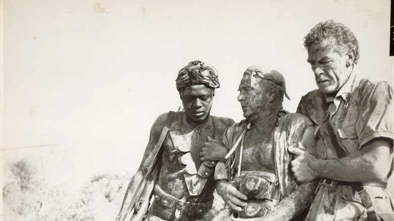 кадр из фильма The Roots of Heaven