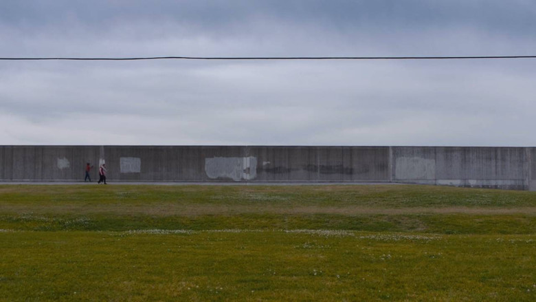 кадр из фильма Hollow Tree