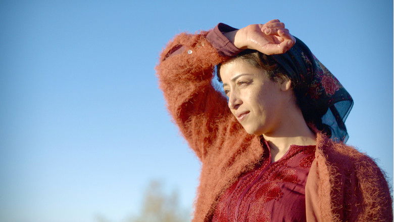 кадр из фильма Все любят Туду