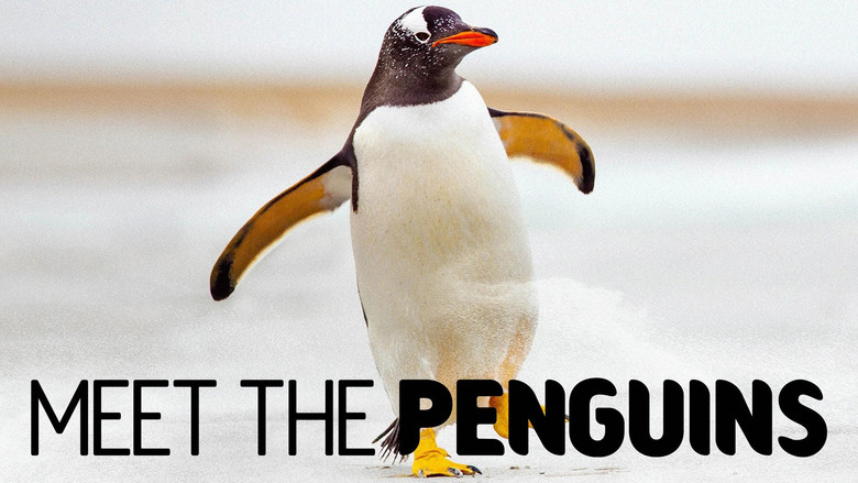 кадр из фильма Meet the Penguins