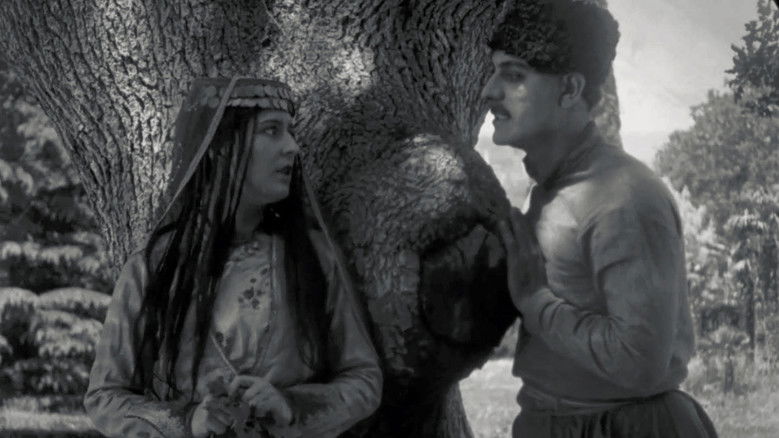 кадр из фильма Алим