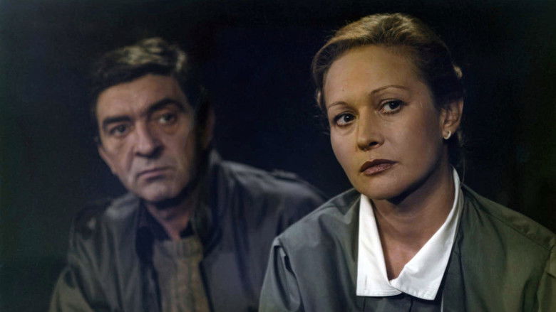 кадр из фильма Anioł w szafie