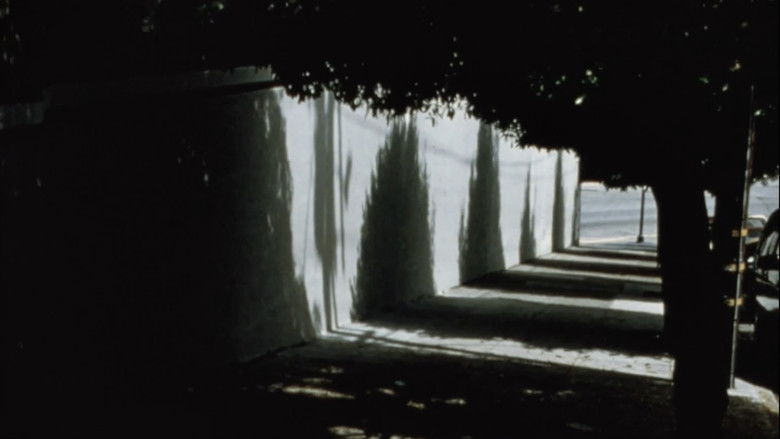 кадр из фильма Arbor Vitae