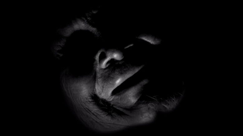 кадр из фильма Yana-Wara