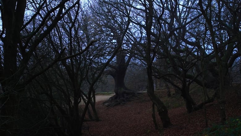 кадр из фильма Sideworld: Haunted Forests of England