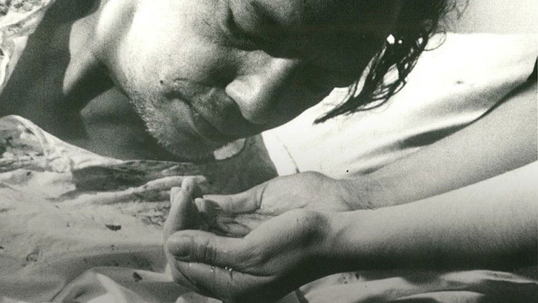 кадр из фильма آرامش در حضور دیگران