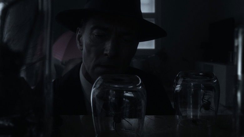 кадр из фильма Arachnobody