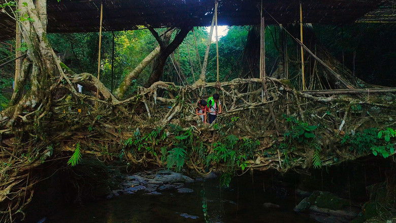 кадр из фильма For Tomorrow - the Documentary