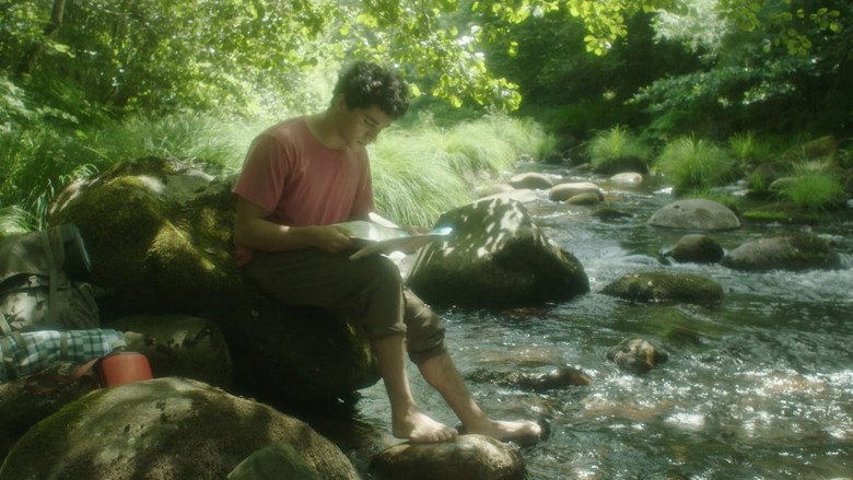 кадр из фильма Romagem