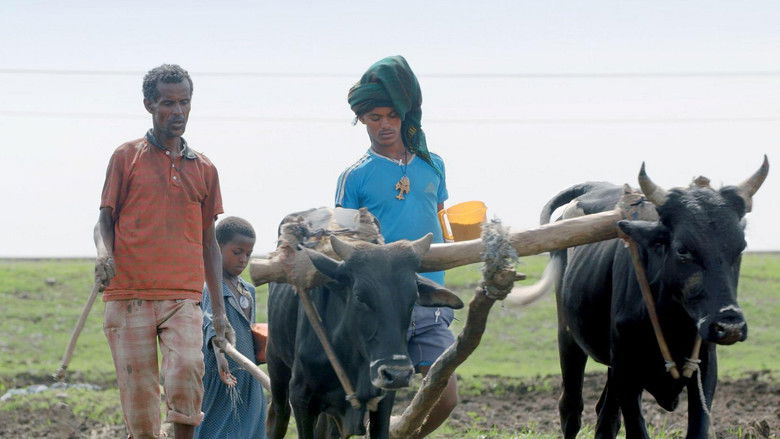 кадр из фильма Das Stadt-Experiment: Eine Zukunft für Äthiopiens Bauern