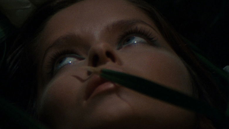 кадр из фильма Короткая ночь стеклянных кукол