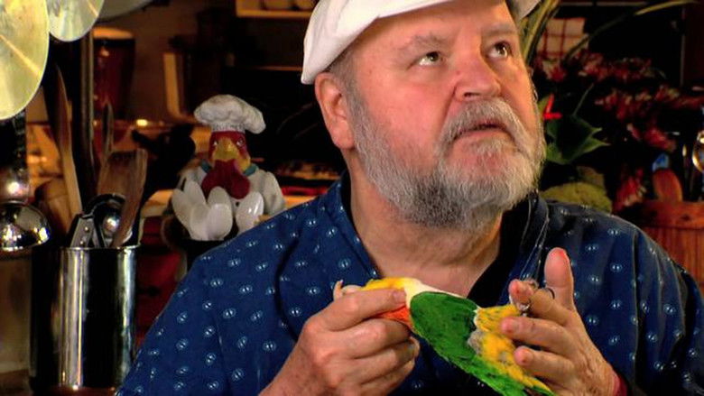 кадр из фильма According to Dom