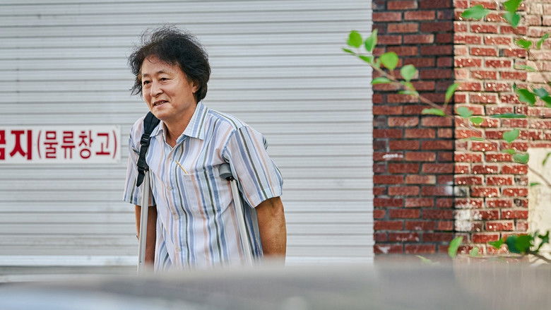 кадр из фильма Футбольные мечтатели