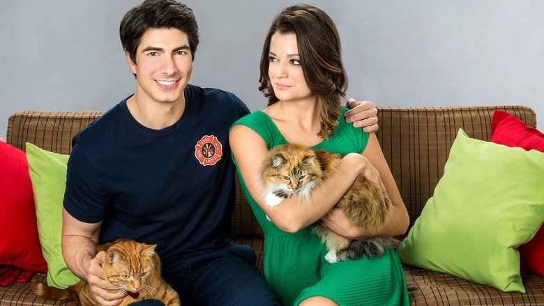 кадр из фильма Девять жизней Рождества