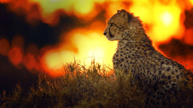 кадр из фильма The Flood