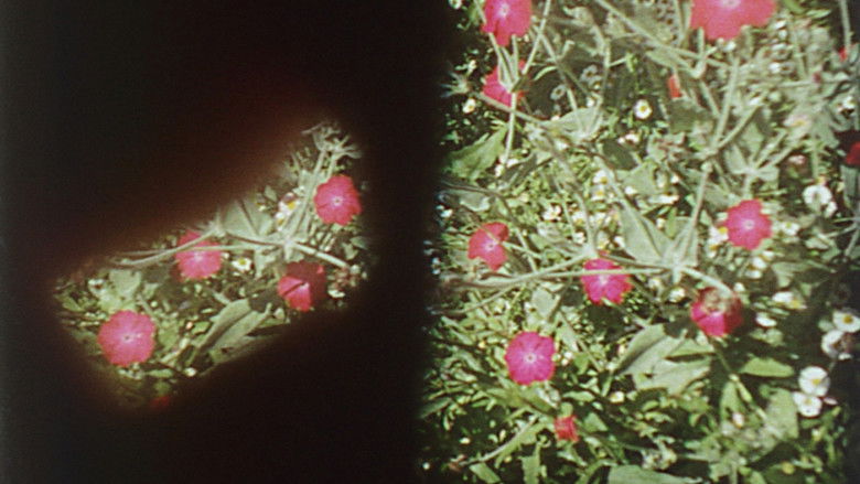 кадр из фильма Precarious Garden