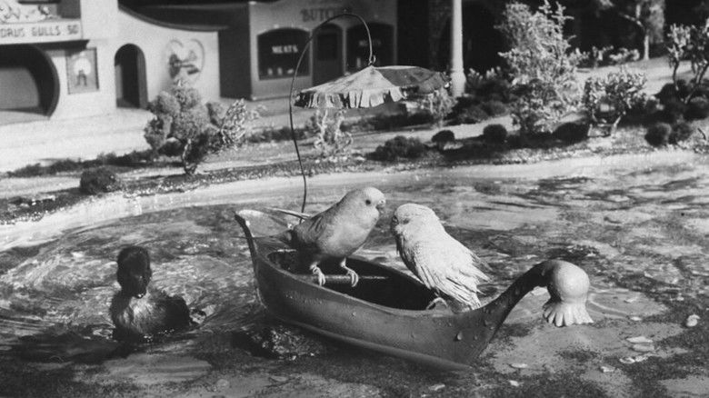 кадр из фильма Bill and Coo