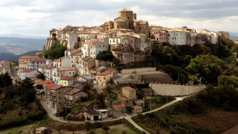 кадр из фильма From the Vine