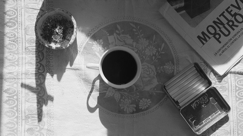 кадр из фильма Beauty and Quiet