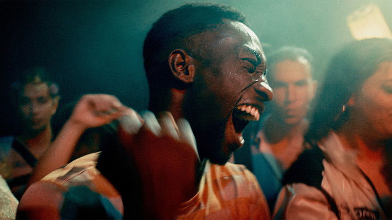 кадр из фильма Toubab